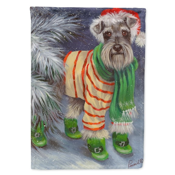 Carolines Treasures PPP3160GF 11 x 0.01 x 15 in. Schnauzer Christmas Green Boots Garden Flag