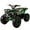 Green/Green, variant on X-Pro Orca 125cc Gas ATV with Automatic Transmission w/Reverse, LED Headlights, Electric Start, Big 19"/18" Tires!