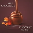 thumbnail image 2 of Lindor Sachet Érable 150g, 2 of 8