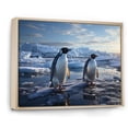thumbnail image 2 of Designart "Elegant Penguin Waddle I" Penguin Floater Framed Canvas Art Print, 2 of 5