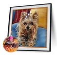 thumbnail image 1 of Cuadros Decorativos 5D DIY diamante pintura perro Cruz puntada bordado pared arte costura Kit Sywqhk Nuevos Originales, 1 of 1