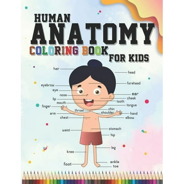 Human Anatomy coloring book for kids: An Entertaining and Instructive Guide to the Human Body - organs, body systems, body parts... (childrens activity and coloring books) (Paperback)