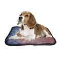 thumbnail image 2 of PKQWTM Softball ball fire water lightening around polygonal Pet Dog Cat Bed Pee Pads Mat Cushion Potty Dogs Blankets Crate Bed Kennel 25x30 inch, 2 of 3