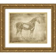 thumbnail image 1 of Murdock, Ramona 18x15 Gold Ornate Wood Framed with Double Matting Museum Art Print Titled - Horse Anatomy 401, 1 of 4