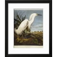 thumbnail image 2 of Snowy Heron or White Egret  Snowy Egret, Animals Framed Art Print Wall Art by John James Audubon Sold by Art.Com, 2 of 6