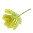 thumbnail image 1 of Decoración Sin Manchar Artificial Real Artificial de Del, 1 of 7