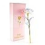 Befinr Cadeaux de Noël Rose pour Femmes Rose Galaxie Fleur de Cristal Enchantée Cadeau 9.5 Pouces Arc-en-Ciel Coloré Idées Cadeaux de Noël Anniversaire pour Maman Grand-Mère Épouse Sœur Amis