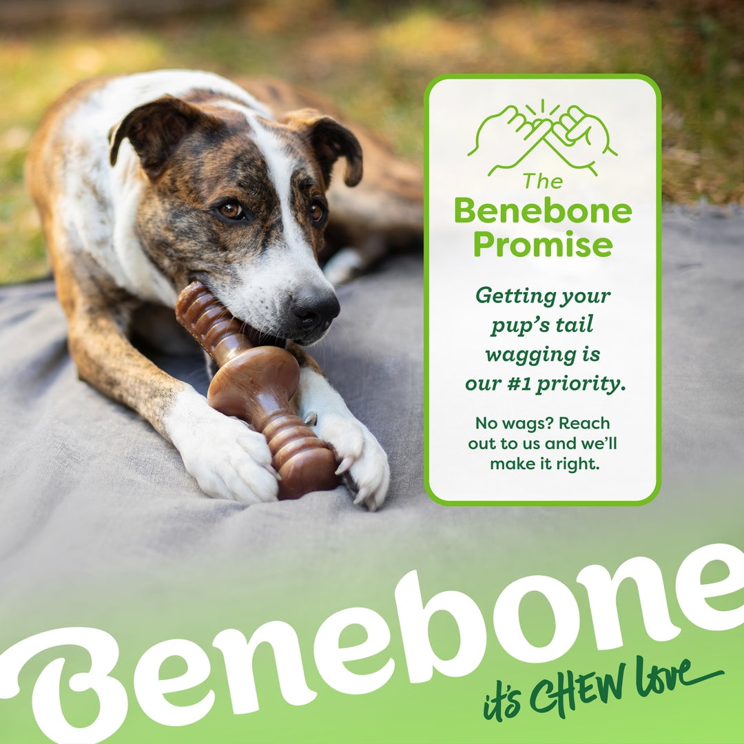 Benebone Zaggler Rolling Dog Chew Toy for Aggressive Chewers, Real Bacon, Giant