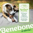thumbnail image 6 of Benebone Zaggler Rolling Dog Chew Toy for Aggressive Chewers, Real Bacon, Giant, 6 of 6