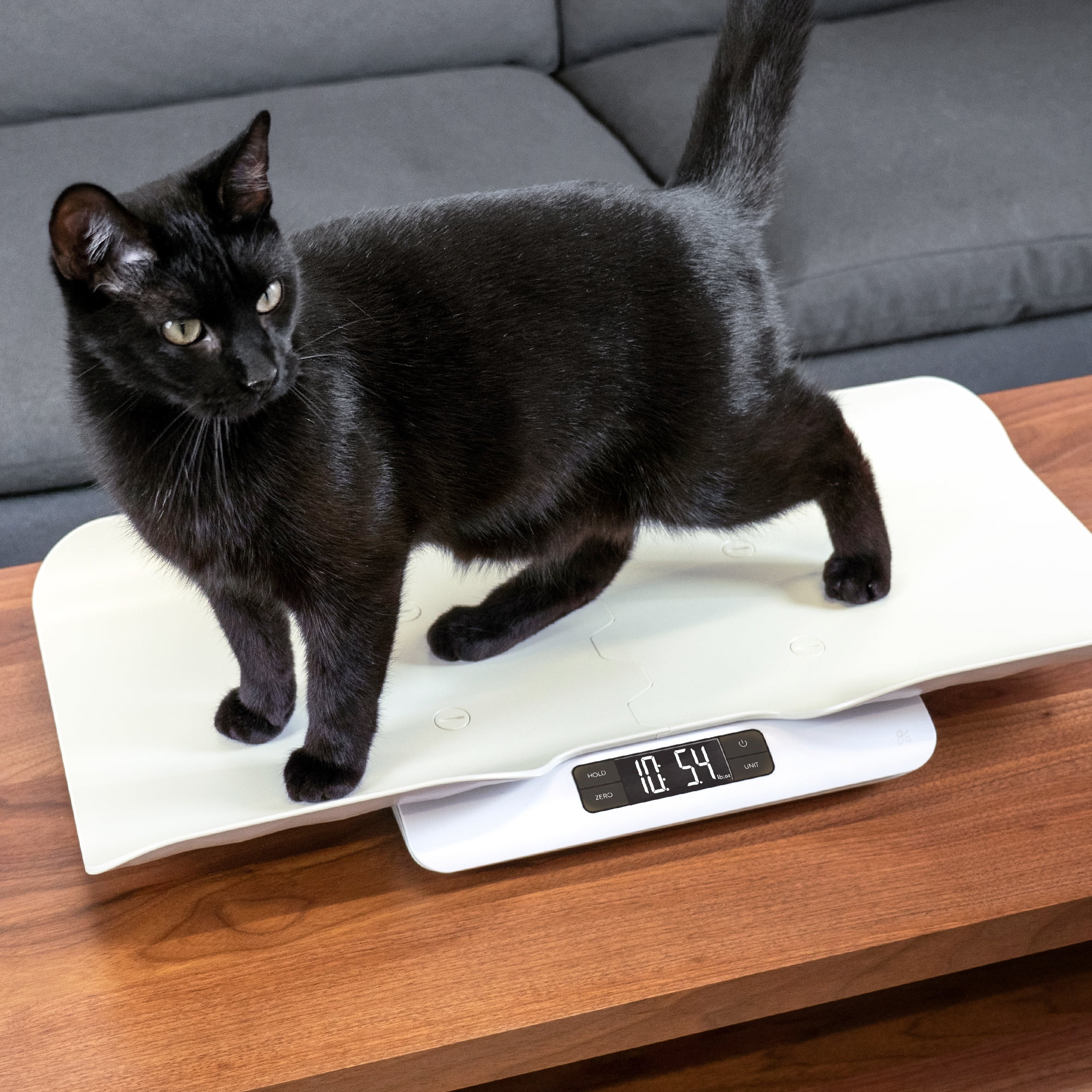 YTCYKJ Digital Pet Scale, Multi-function LED Scale Digital Weight with Height Tray Measure Accurately, Perfect for Puppy/Kitty/Hamster/Hedgehog/Food Kitchen