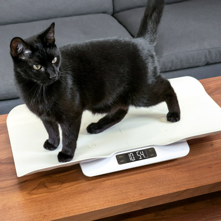 Puppy Weighing Scales, Digital, Whelping, 1g Increments, Kitten