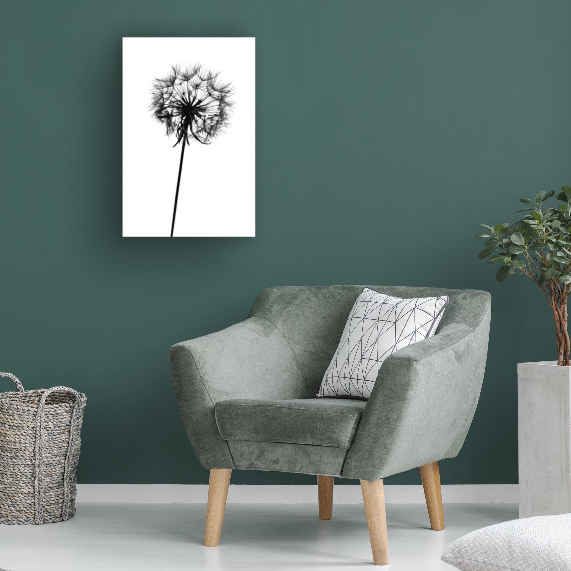Trademark Fine Art Tatiana Malysheva  Contrasts Canvas Wall Art
