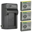 thumbnail image 1 of Kastar 3-Pack Battery FNP-50 and AC Wall Charger Replacement for Cobra CP205SA, CP310, CP310S, CP310SA, CP320, CP-320SA, CP-355S, CP1155, CP-9105, CP-9125, CP-9135, CPSA Camera, 1 of 7