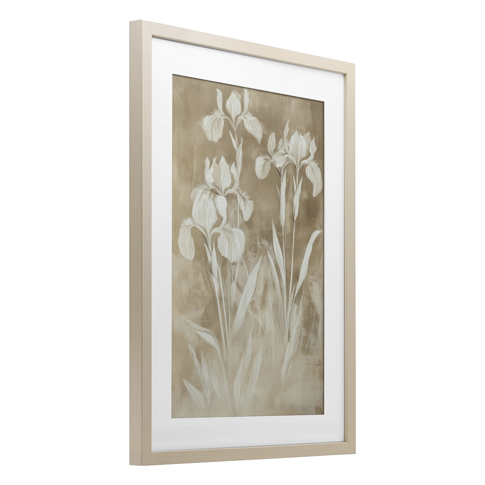 Stupell Industries Neutral Iris Botanical Study Birch Framed Print Under Glass, design by Petal Prints Design