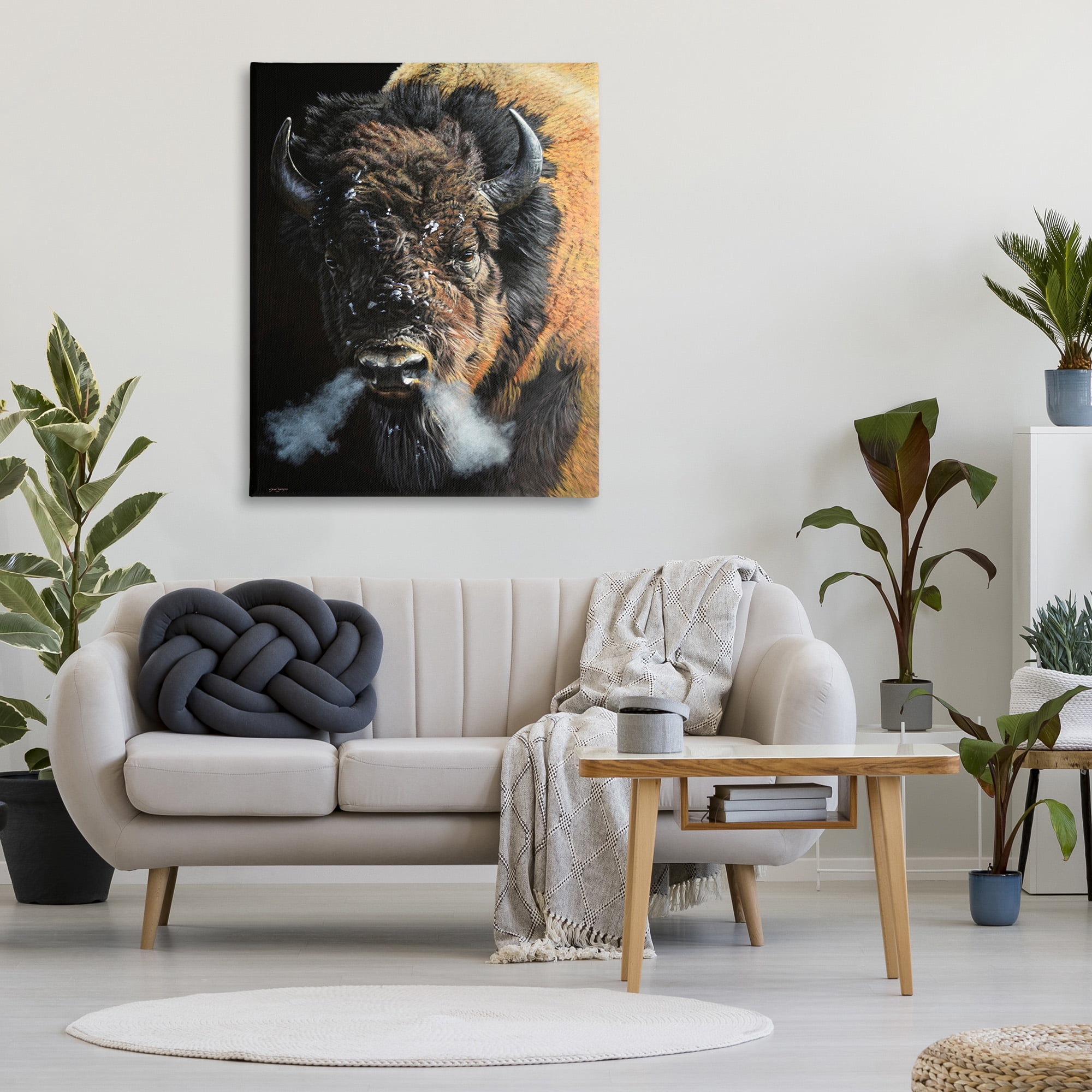 Stupell Industries Bison Breathing Steam Animals & Insects Photography Gallery Wrapped Canvas Art Print Wall Art, 36 x 48