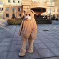 thumbnail image 5 of Disfraz de mascota oso bailarín, disfraz de cosplay, muñeco de dibujos animados, oso de peluche, divertido vestido, traje para fiesta de carnaval, espectáculos, utilería, 5 of 5