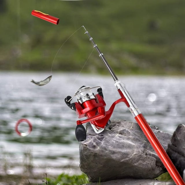 Canne à Pêche Portative avec Stylo et Moulinet, Combo, Mini Canne Compacte avec Bobine Rotative et Roue pour Pêcheurs en Plein Air