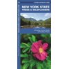 Pocket Naturalist Guides: New York State Trees & Wildflowers: A Folding Pocket Guide to Familiar Species (Other)