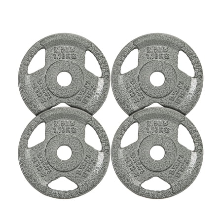 Signature Fitness Cast Iron Weight Plates for Strength Training, Fits 1-Inch Barbell, Multiple Size Options