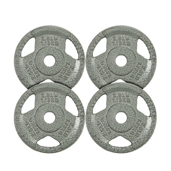 Signature Fitness Cast Iron Weight Plates for Strength Training, Fits 1-Inch Barbell, Multiple Size Options