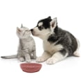 thumbnail image 4 of Cuenco de silicona para lamer perros: cuencos interactivos de alimentación lenta con ventosa, promueve la salud bucal. MFZFUKR CPB-DE-SSW2246-2, 4 of 5