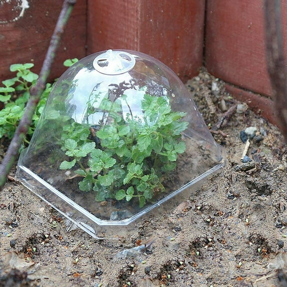PBPBOX Plastic Table Decor Assorted Color Transparent Plant Dome Humidity Control