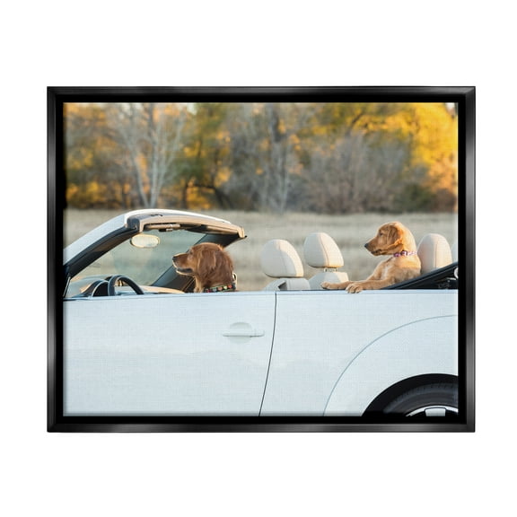 Stupell Industries Dogs Driving Convertible Animals & Insects Photography Black Floater Framed Canvas Art Print Wall Art, 21 x 17