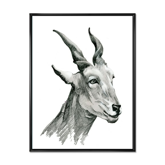 Designart 'Black and White Portrait Of Goat I' Farmhouse Framed Canvas Wall Art Print