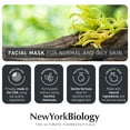 thumbnail image 3 of New York Biology Anti Aging Facial Mask 6 oz – Moisturizing and Hydrating Face Mask for Acne, Pores, and Clear Skin – Deep Facial Cleanser Clay Mask for Normal and Oily Skin, 3 of 8