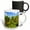 Multicolor, variant on 3drose, Green Needles of a Dwarf Pine Trees on a Sunny Day of Spring, 11oz Mug