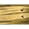 thumbnail image 1 of Reflection Wall Mural - 50 in., 1 of 1
