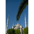 thumbnail image 2 of Posterazzi DPI1892963LARGE Turkey, Date palm frond in front of Sultanahmet or Blue Mosque - Istanbul Poster Print, 24 x 38 - Large, 2 of 4