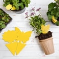 thumbnail image 3 of QARUN 96Pcs Fruit Fly Traps Yellow Sticky Traps Fungus Gnat Traps Insect Bug Traps for Indoor Outdoor Kitchen Plants Whitefly Mosquitos Fungus Gnats Flying Insects, 3 of 7