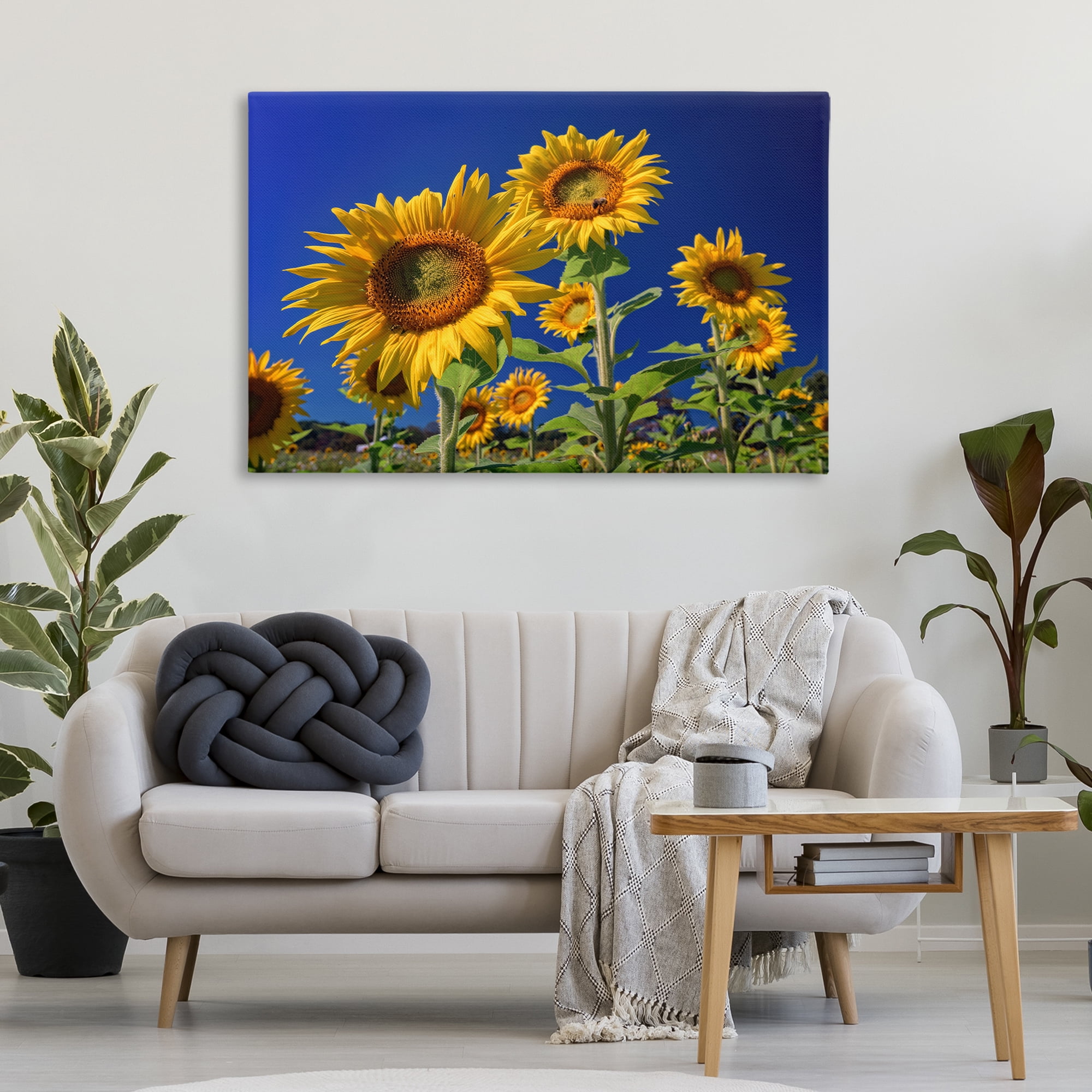 Stupell Industries Bright Sunflowers with Blue Sky Plants & Flowers Photography Wrapped Canvas Art Print Wall Art, 45 x 30
