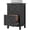Distressed Black, variant on HOMCOM File Cabinet with 2 Drawers Filing Cabinet for A4 Letter Size Gray