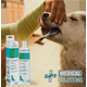 thumbnail image 5 of Pasta Dental para Perros Fancy Pets Medical Solutions, 5 of 5