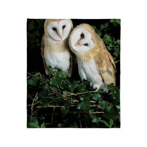 CafePress - Barn Owls Throw Blanket - Soft Fleece Throw Blanket, 50"x60" for All Ages