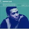 Icons: Marvin Gaye