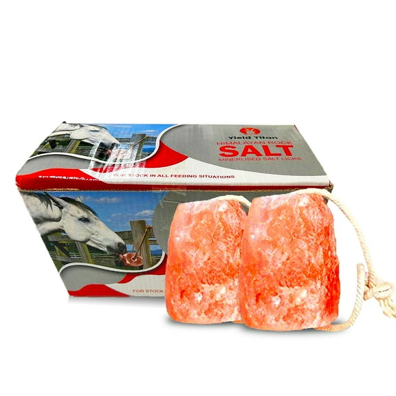 Yield Titan Himalayan Pink Salt 8 LB, Salt Licks for Animals Licking Block for Horses, Cows, Deer, and Other Livestock - Rope Included (2 Qty)
