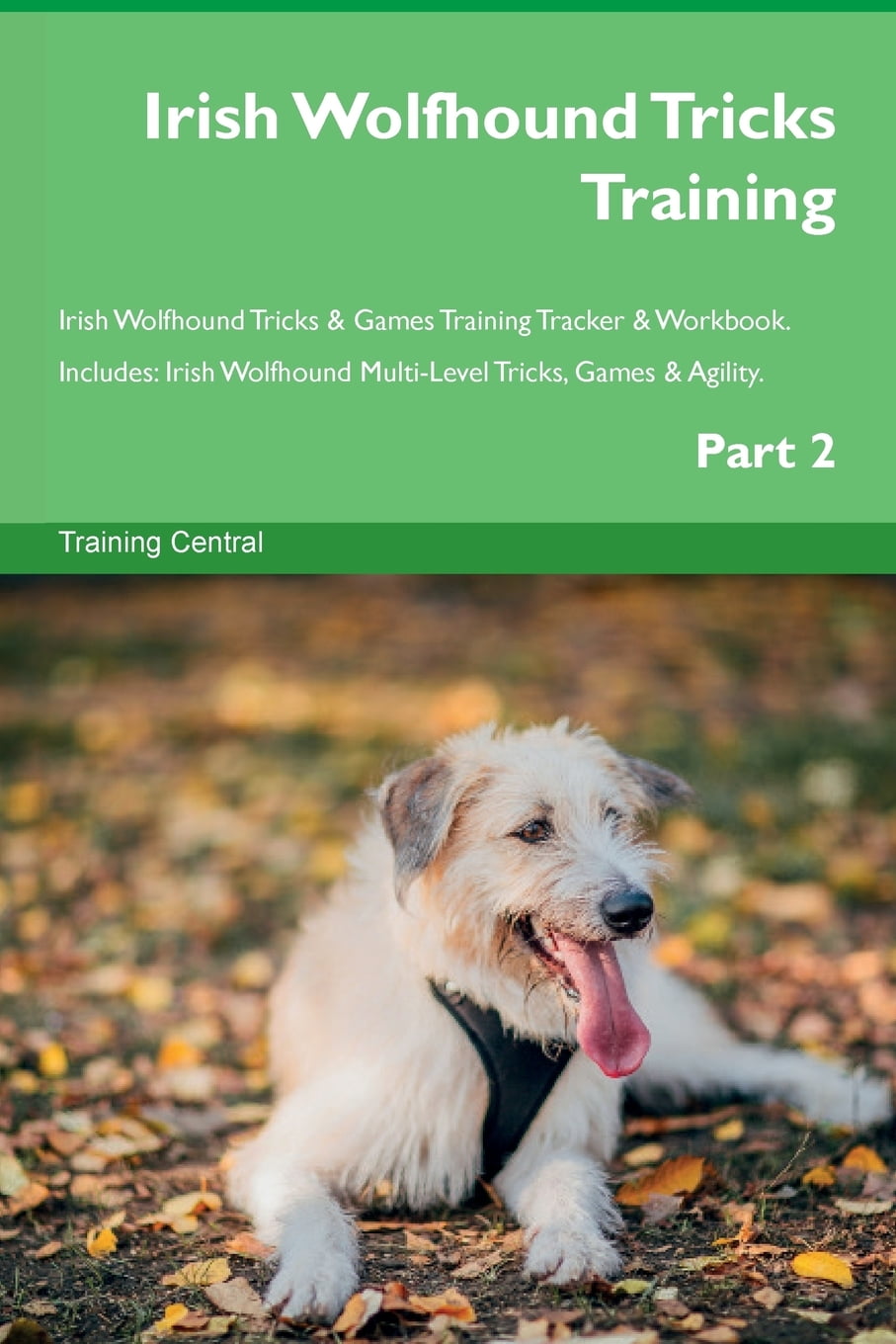 Irish Wolfhound Tricks Training Irish Wolfhound Tricks & Games Training