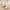 Khaki, variant on Orthopedic Sandals for Women, Womens Sandals Comfortable Casual Hollow Out Shoes Orthotic Wedge Sandals