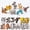 Animal, variant on 3D Insect Paper Assembly Model Kit - 25 Piece Snap Fit Jungle Creature Set, Jigsaw Puzzle Set