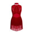 thumbnail image 2 of YONGHS Kids Girls Mesh Tassel Hem Dance Leotard Samba Jazz Tap Latin Salsa Costume Burgundy 10, 2 of 5
