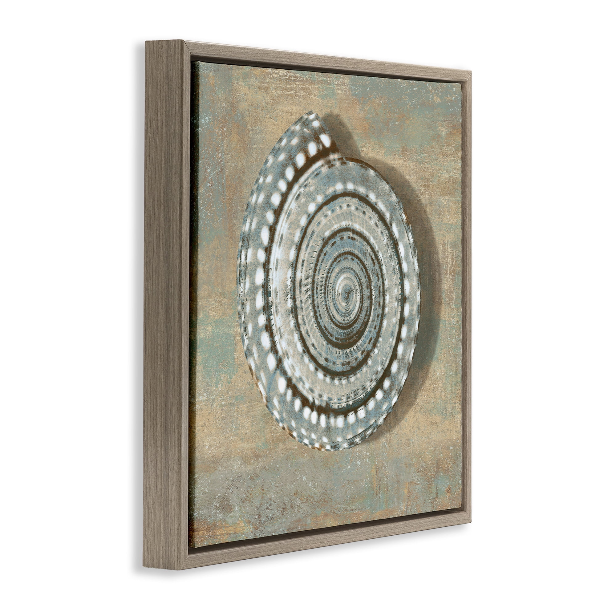 Stupell Industries Spiral Shell Beach Objects Design Nature Painting Brown Floater Framed Canvas Art Print Wall Art, 18 x 18