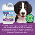 thumbnail image 4 of OdorPet Concentrate Stain Remover  Black Cherry ½ Gallon, 4 of 4