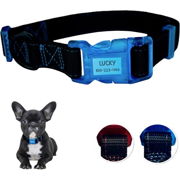 Sporn Dog ID Collar for Small Dogs, Black & Blue Dog Collar with 3 Pcs Prefolded Paper