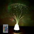 thumbnail image 4 of TISHITA Color Changing Fiber Optic Lamp Light Nightlamp Battery Operated Fiberoptic for with remote control, 4 of 7
