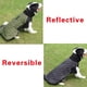 thumbnail image 5 of Abrigo de cuello alto para perros medianos. Impermeable y cálido para el frío invierno (Verde, Talla S)., 5 of 5