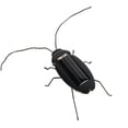 thumbnail image 1 of Hormiga Insecto Niños Cucaracha Juguetes Mágico Solar Juego de Insectos Aprender Juguetes Educativos Regalo Advancent WJ3916-08B, 1 of 7