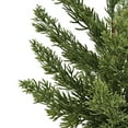 thumbnail image 3 of Pot de Fleurs Céramique Floral « Holiday Time WW », 3 of 6